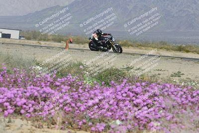 media/Feb-04-2023-SoCal Trackdays (Sat) [[8a776bf2c3]]/Turn 15 Inside Blooming (1050am)/